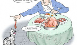 漫画的意义,描绘生活百态，传递情感共鸣